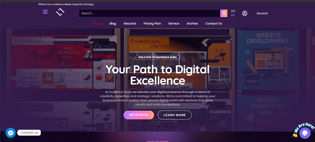 Audience Aura Agency Website